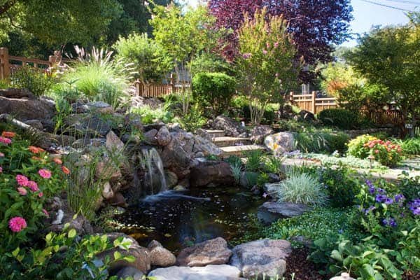 This beautiful natural pond is surrounded by plants and perennial 