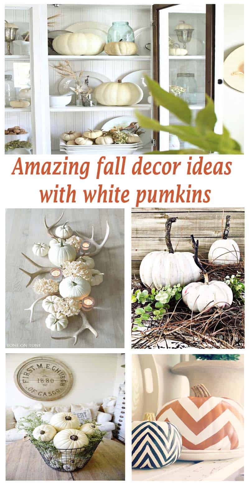 31 Amazing fall decorating ideas using white pumpkins
