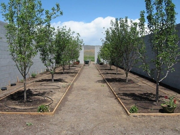 modern-desert-home-landscape