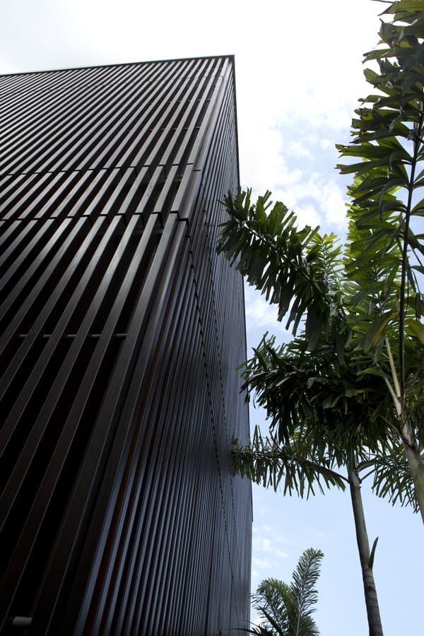 Centennial Tree House-Wallflower Architecture-17-1 Kindesign