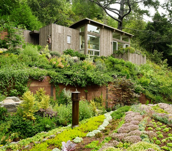 Mill Valley Cabins-Feldman Architecture-01-1 Kindesign