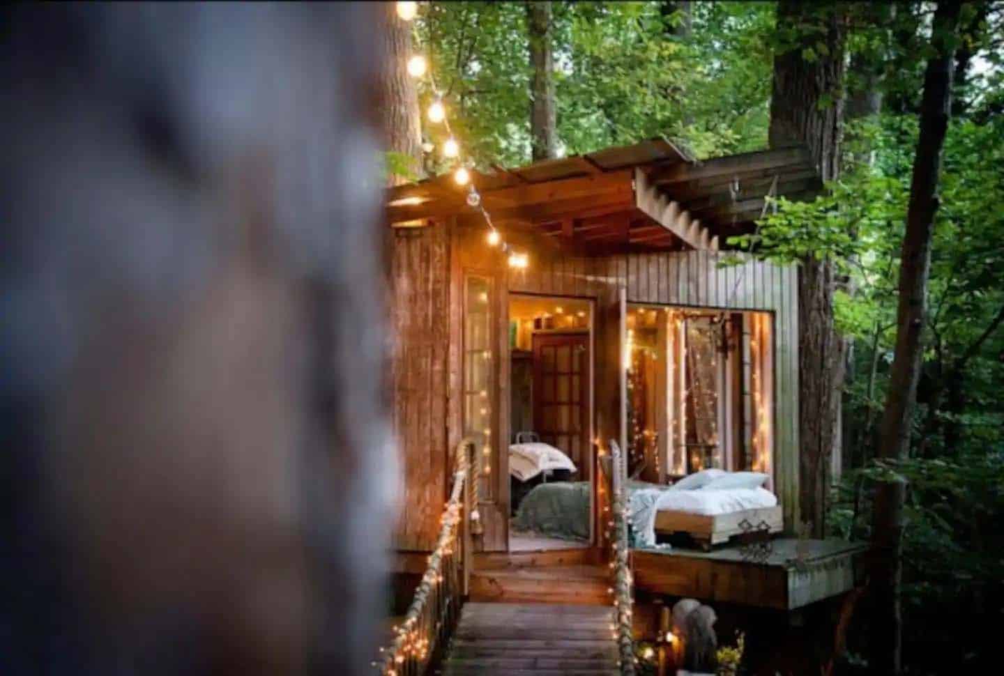 treehouse exterior with a rope bridge