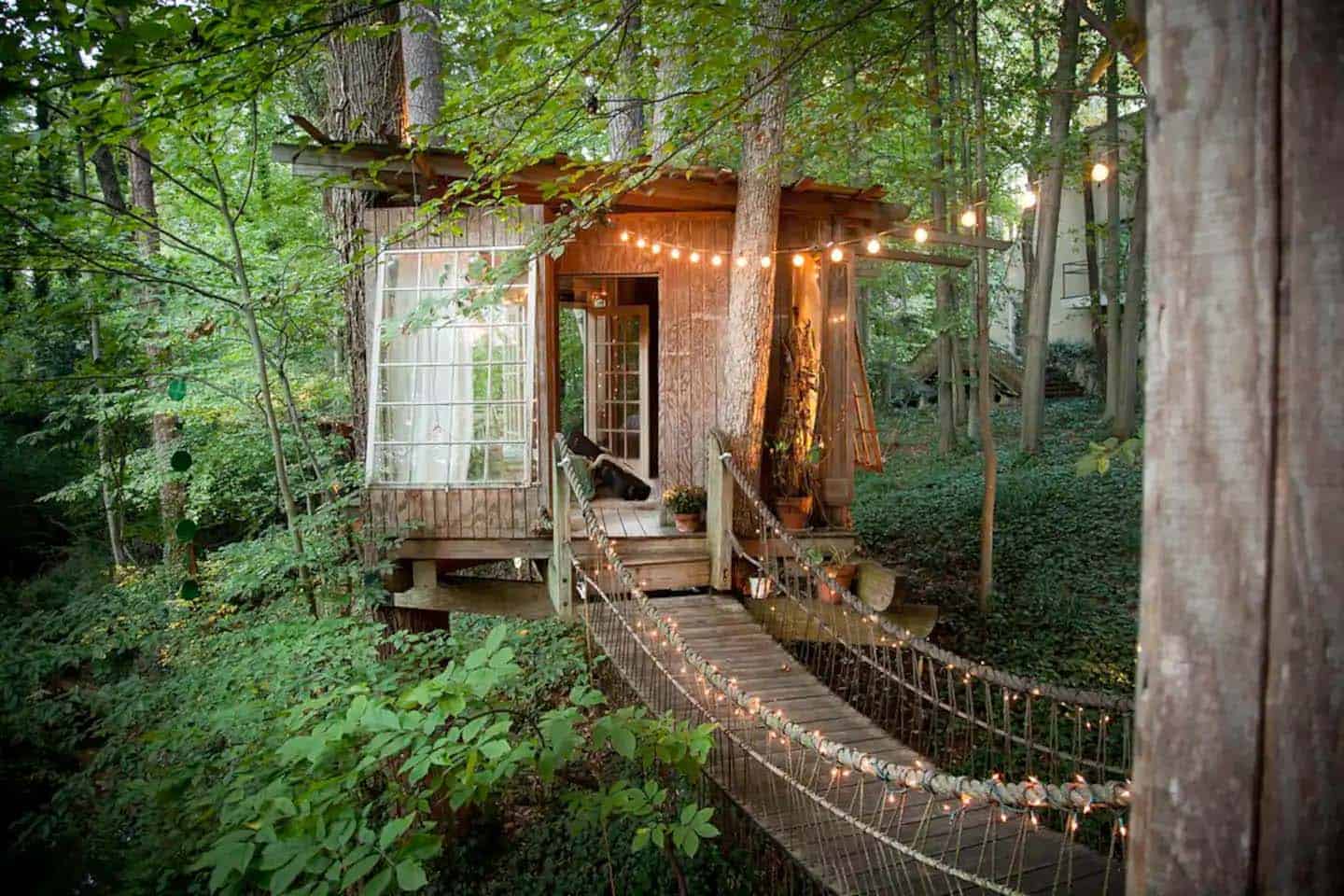 treehouse exterior with a hanging rope bridge