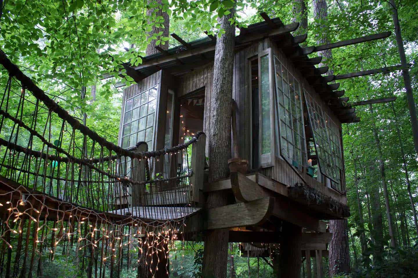 treehouse exterior in the forest