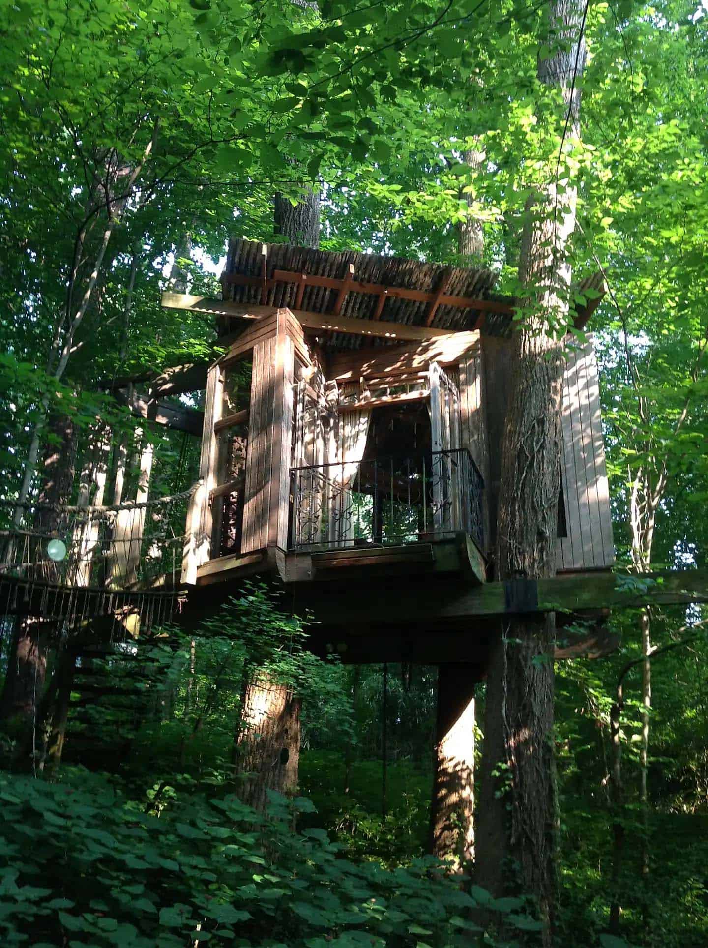 treehouse exterior in the forest