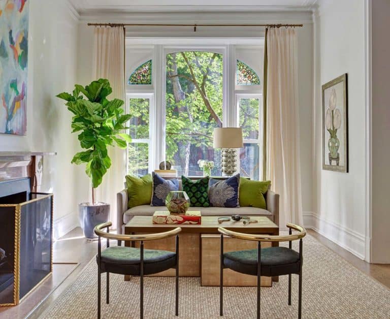 Elegance and sophistication defines transitional style Lincoln Park home