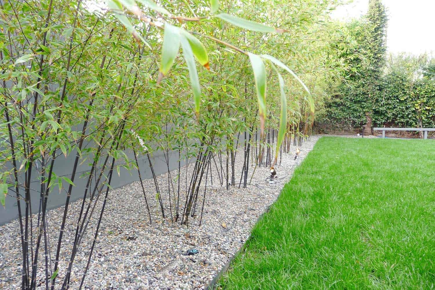 modern-contemporary-landscape