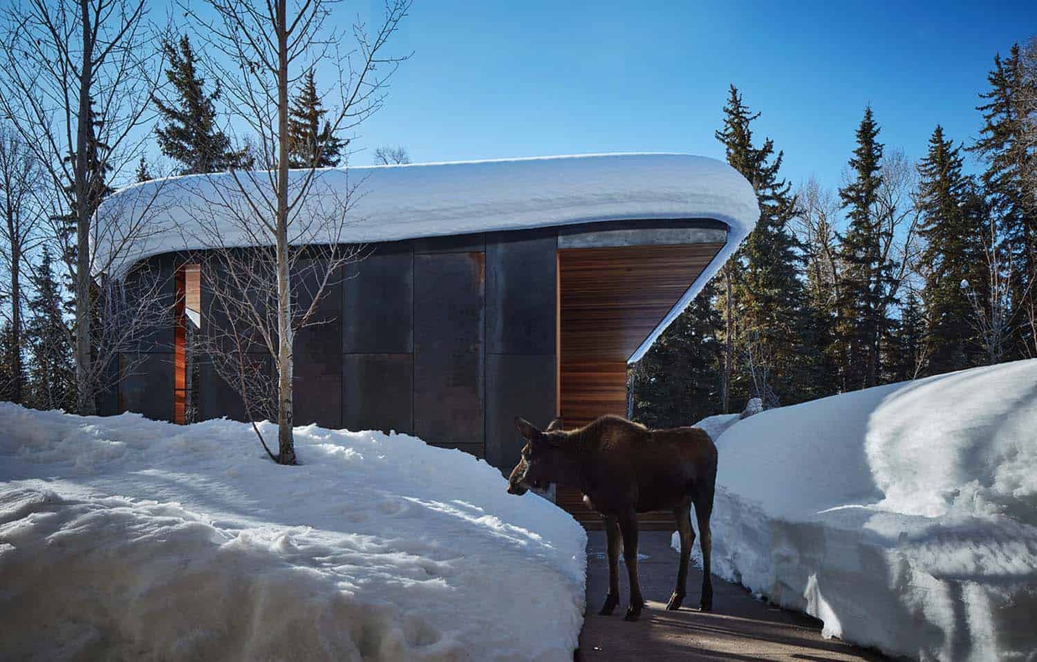 striking-home-modern-exterior