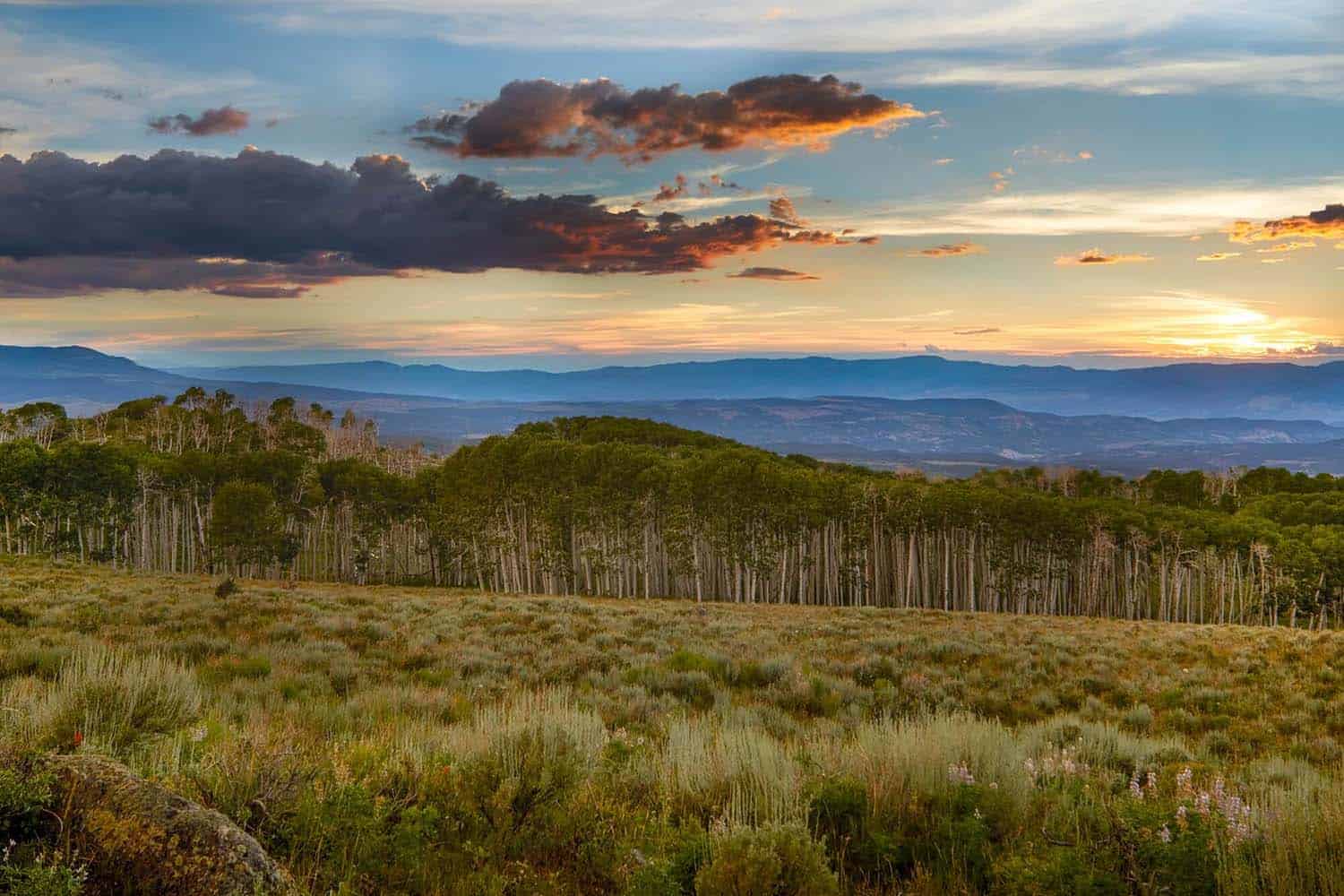 utah-rustic-ranch-house-landscape