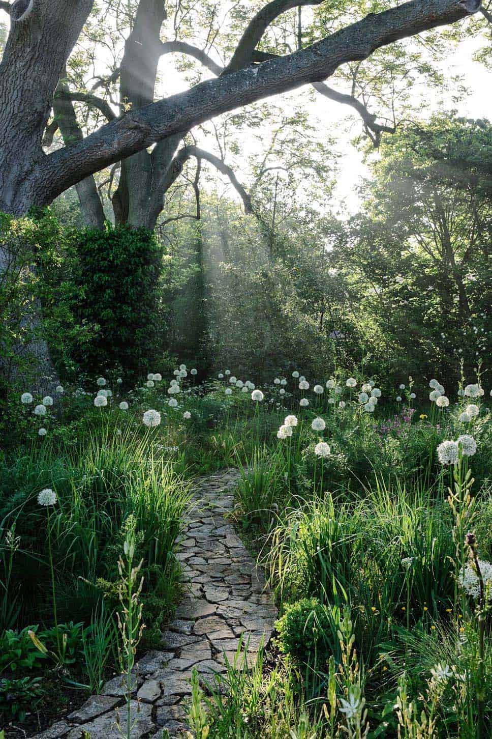 garden-stone-pathway-forest