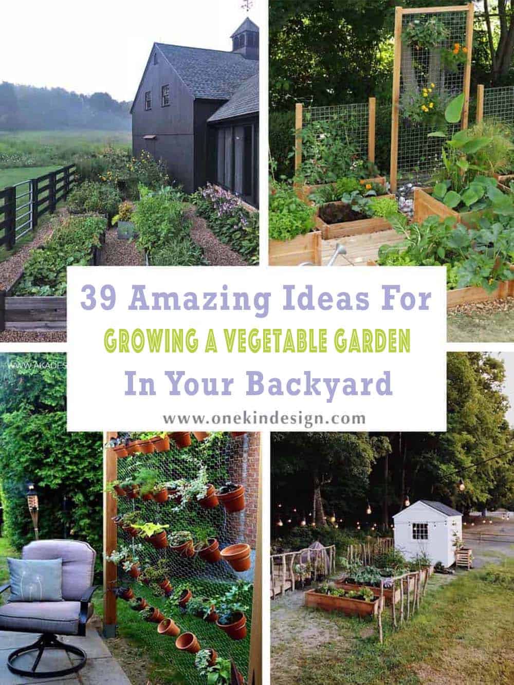 amazing vegetable garden ideas