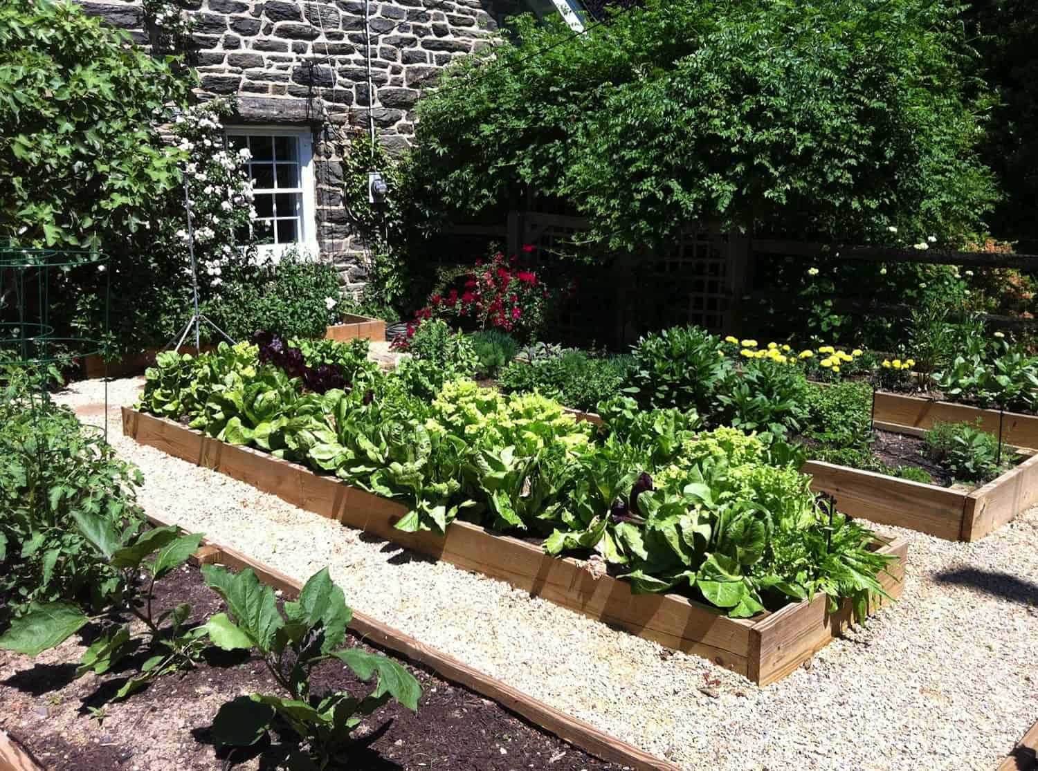 inspiring-vegetable-garden-ideas-cedar-raised-beds