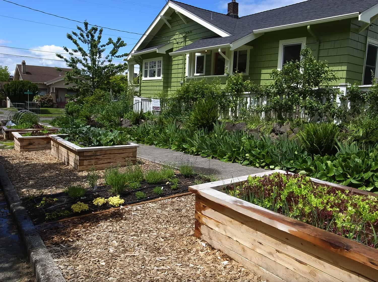 inspiring-vegetable-garden-ideas-juniper-wood-raised-beds