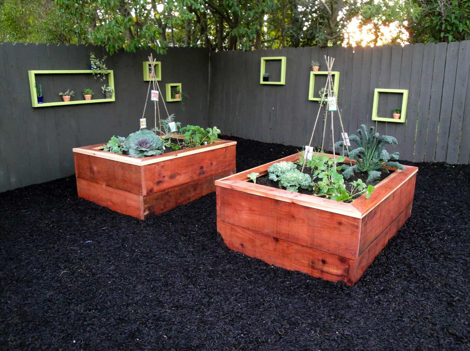 inspiring-vegetable-garden-ideas-cedar-raised-beds-with-a-gray-fence