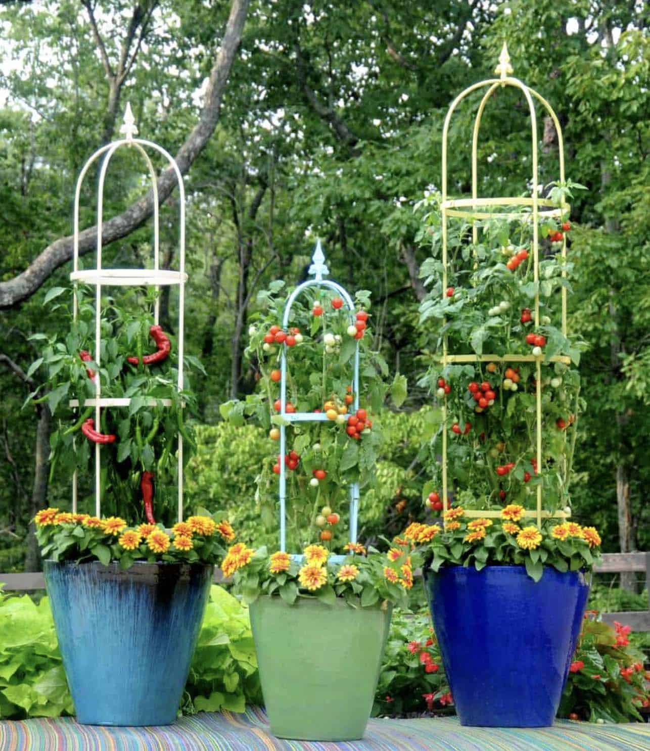 tomato cage planters