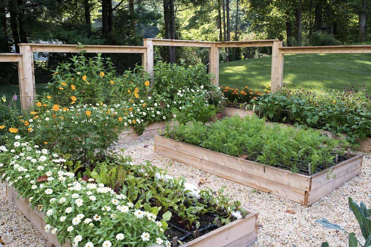 yard-to-table gardening