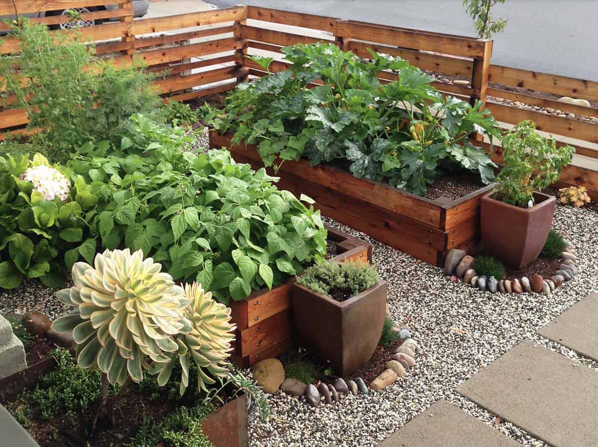 Organic Vegetable Garden