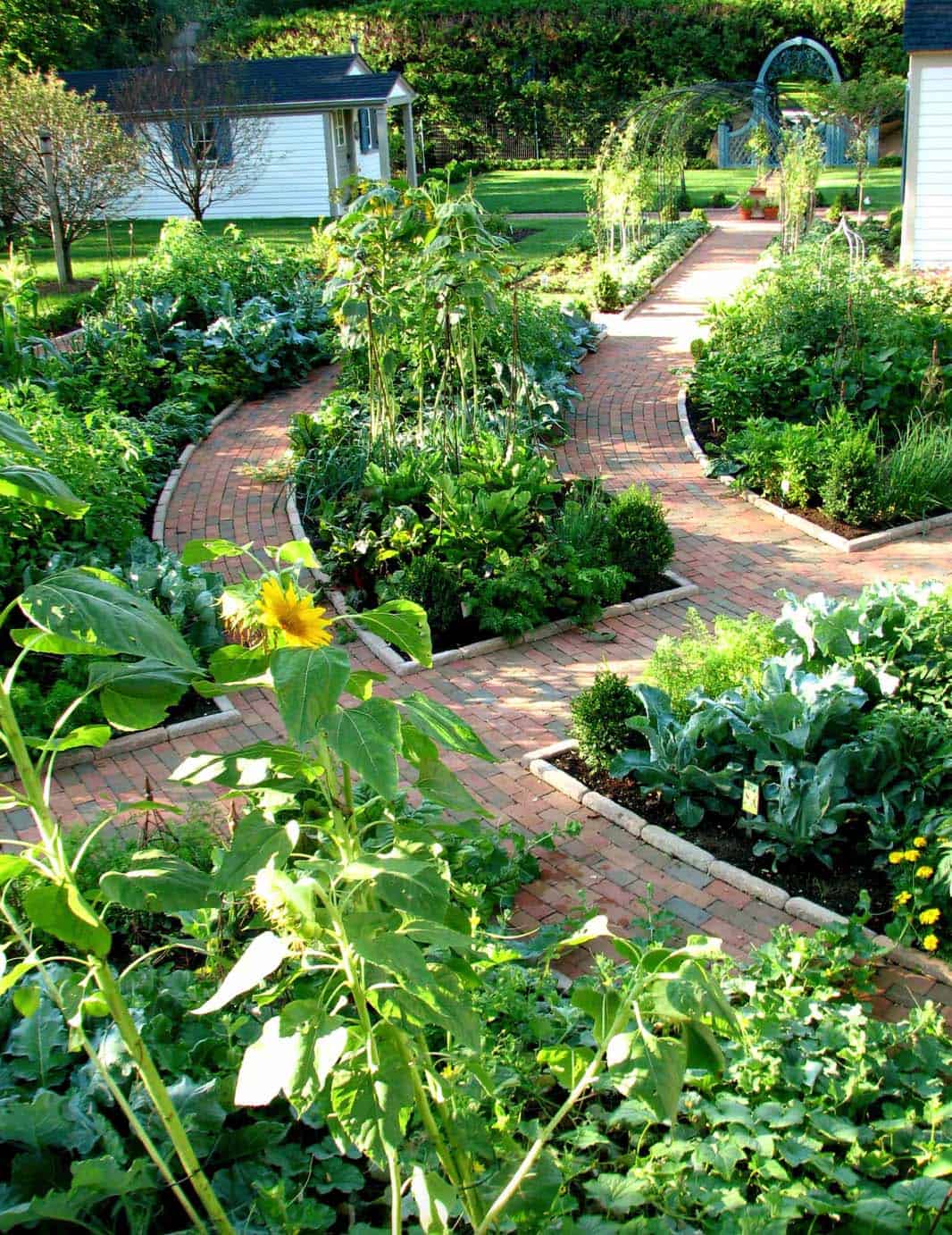 inspiring-vegetable-garden-ideas