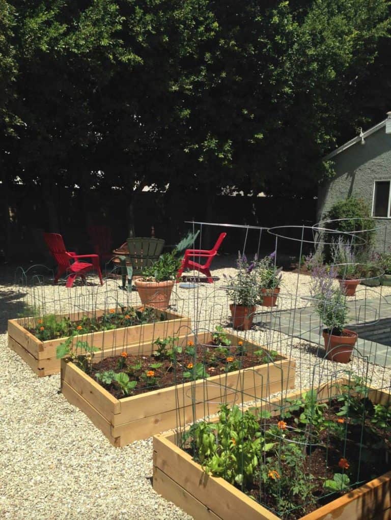 39 Amazing Ideas For Growing A Vegetable Garden In Your Backyard