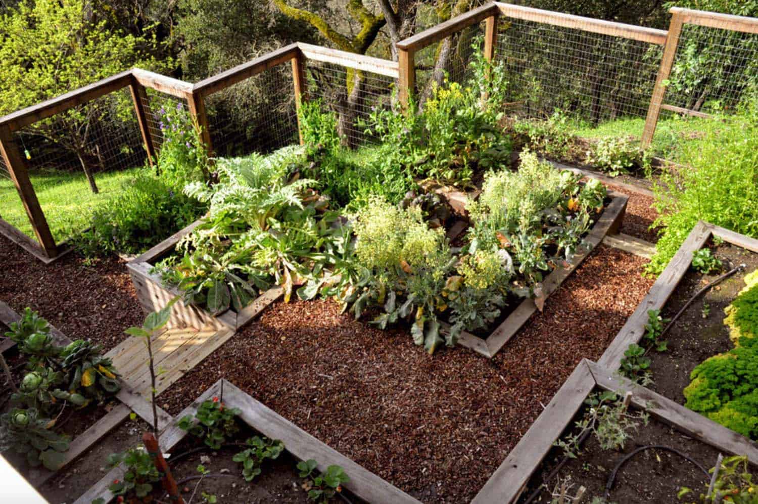 inspiring-vegetable-garden-ideas