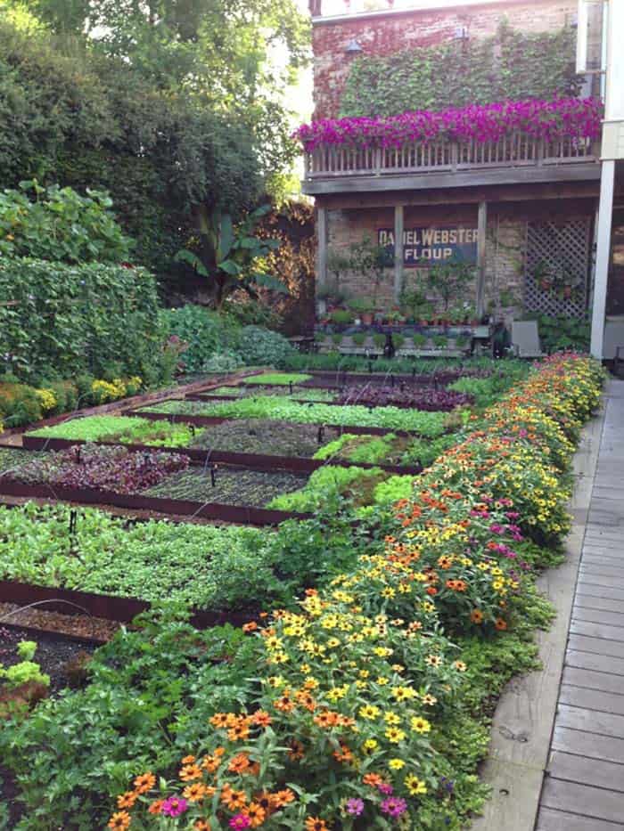 inspiring-vegetable-garden-ideas