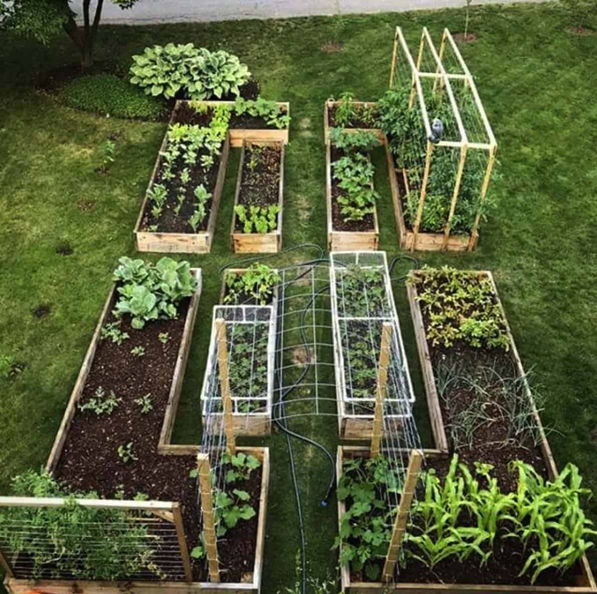 inspiring-vegetable-garden-ideas