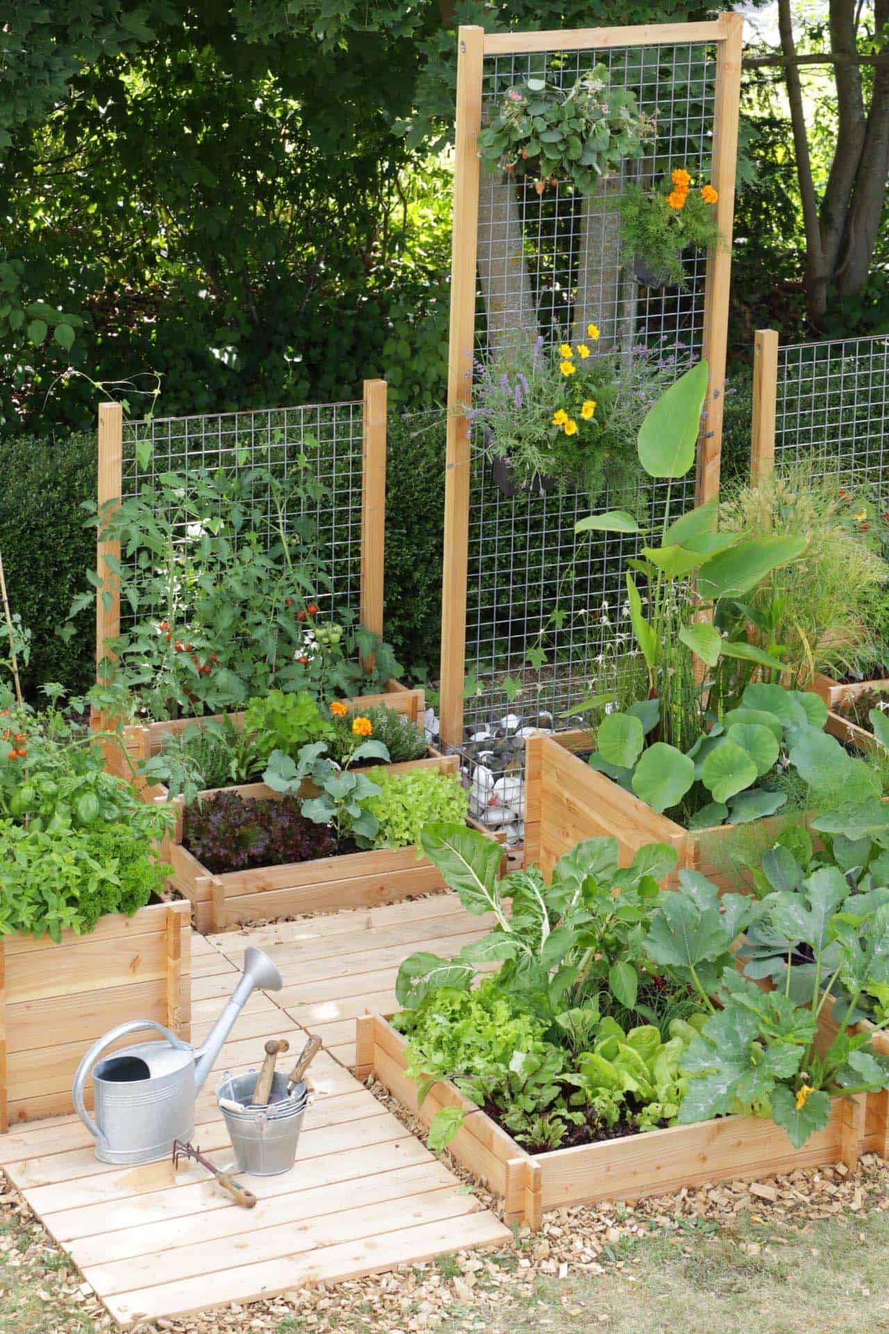 inspiring-vegetable-garden-ideas