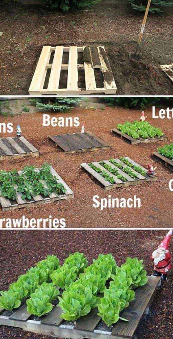 inspiring-vegetable-garden-ideas