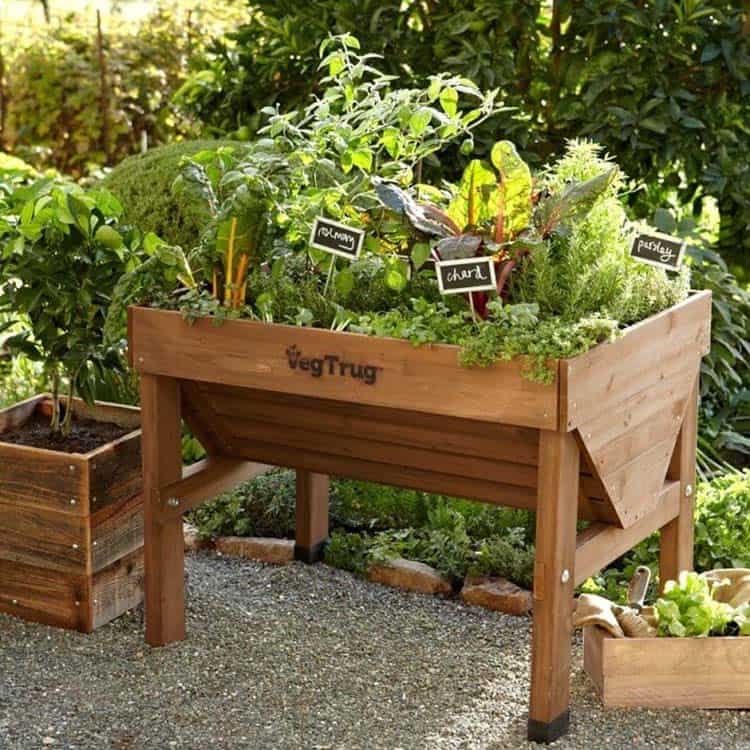 inspiring-vegetable-garden-ideas