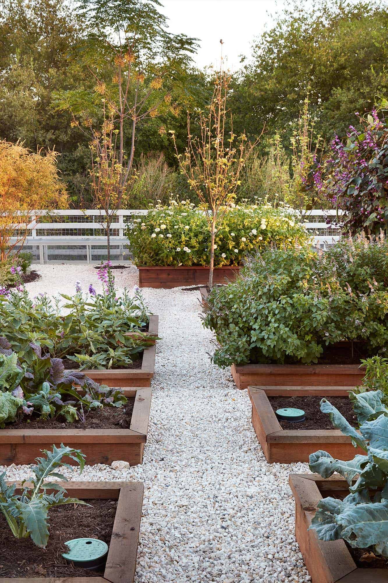 inspiring-vegetable-garden-ideas