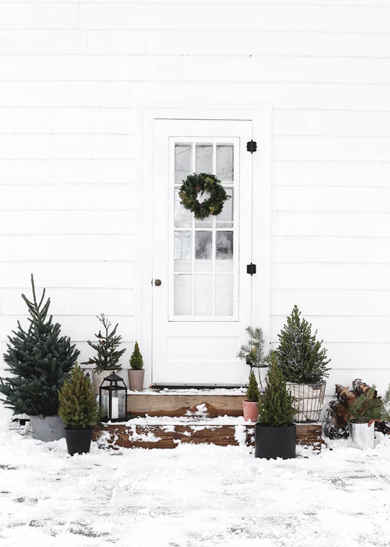 stunning-outdoor-decorations-christmas-trees