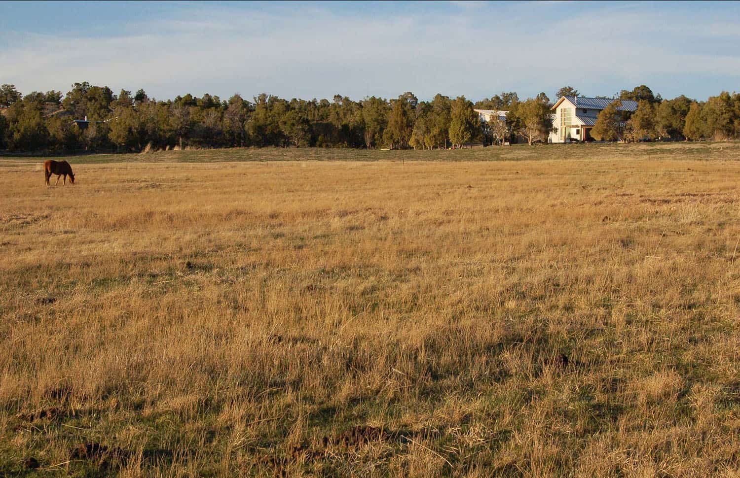 ranch-house-landscape