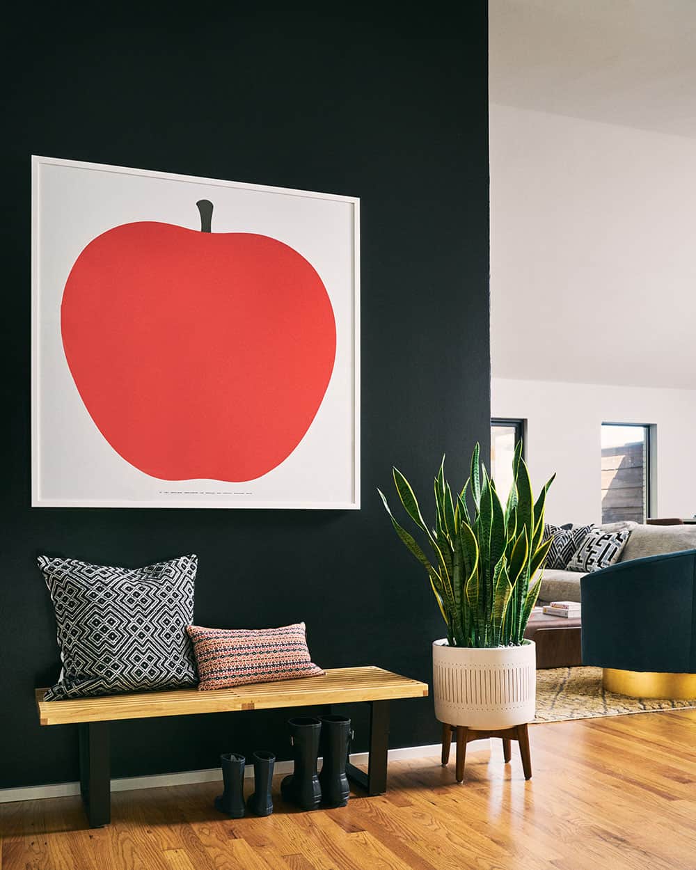 midcentury-modern-entry
