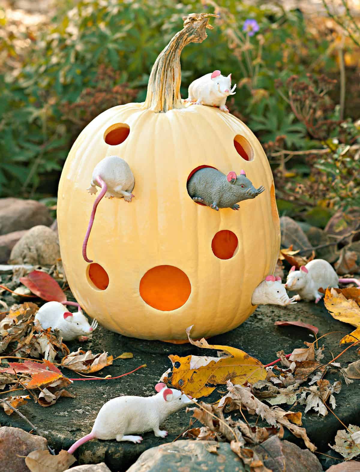 unique-pumpkin-carving-ideas-halloween