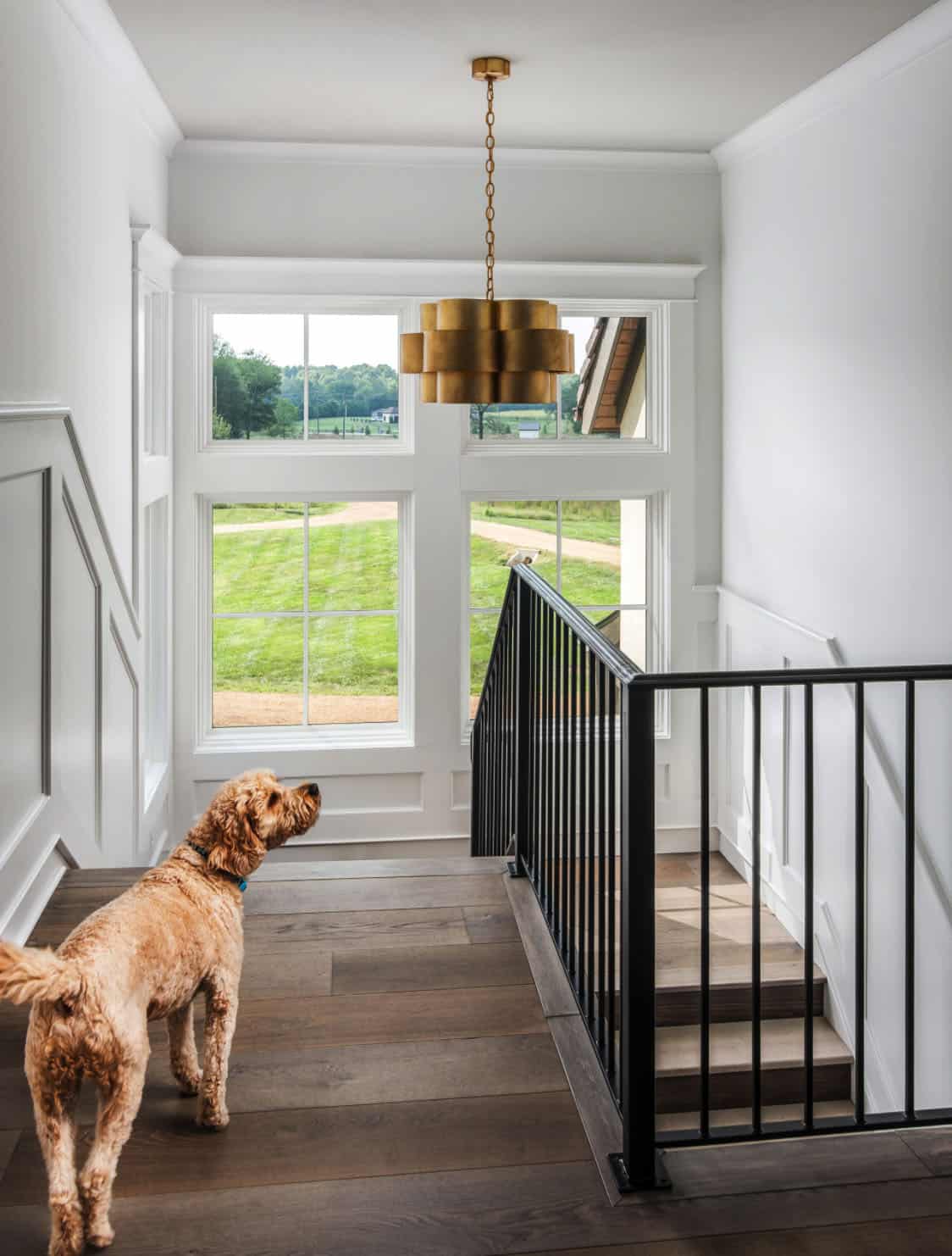 transitional-staircase