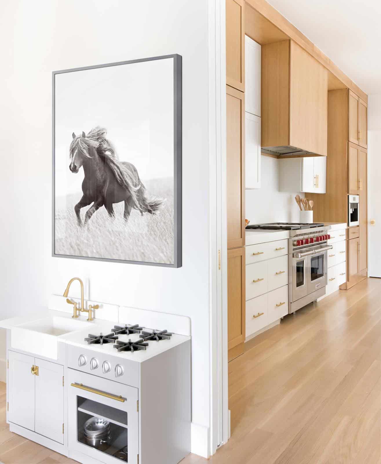 contemporary-kitchen