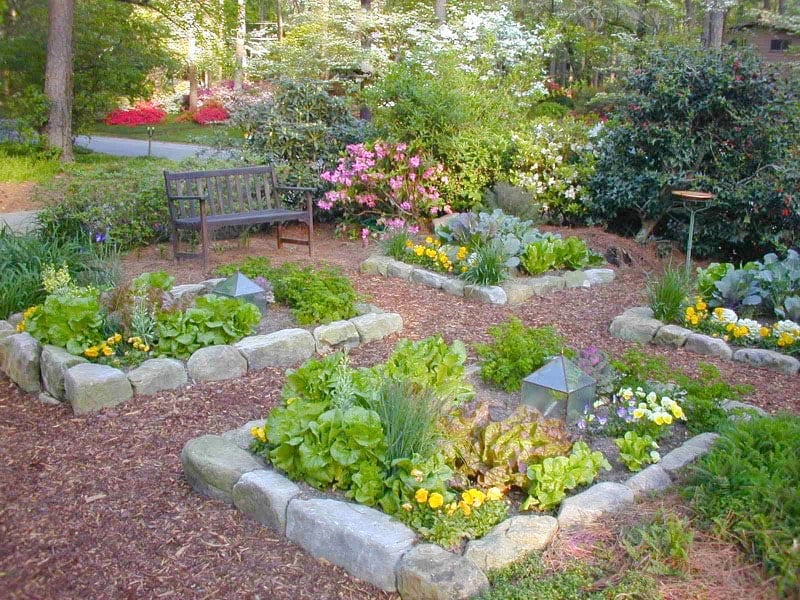 kitchen-garden