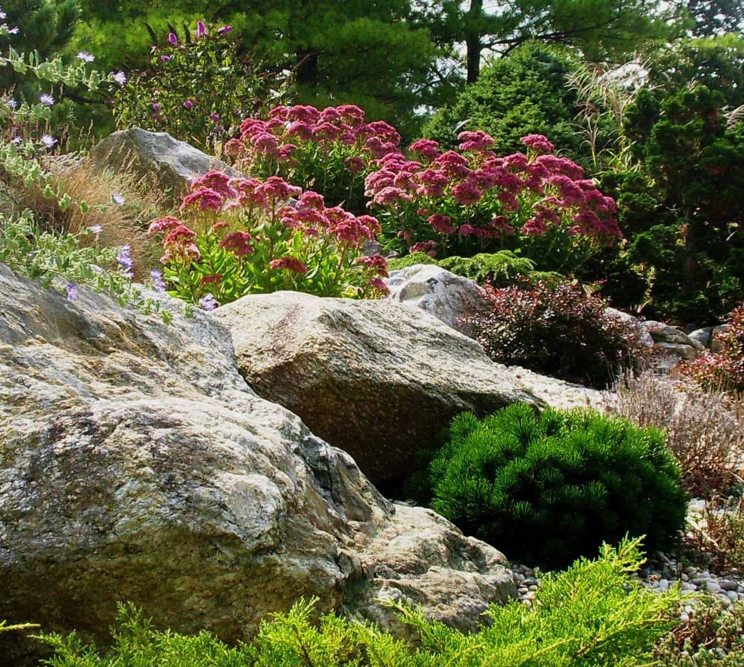 rock-garden-river-bed