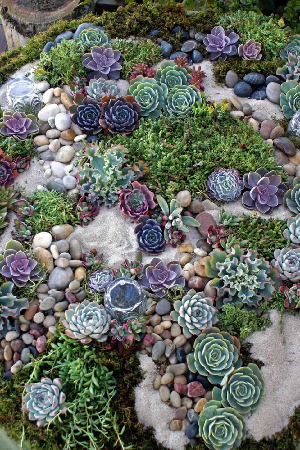 succulent-rock-garden