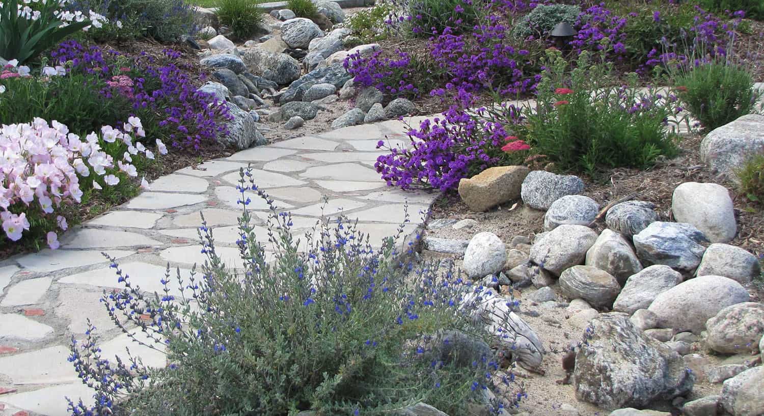 vibrant-rock-garden