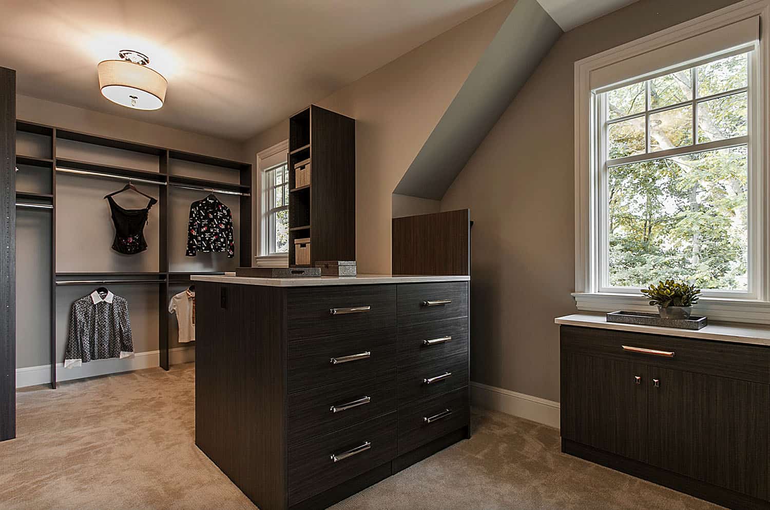 transitional-closet