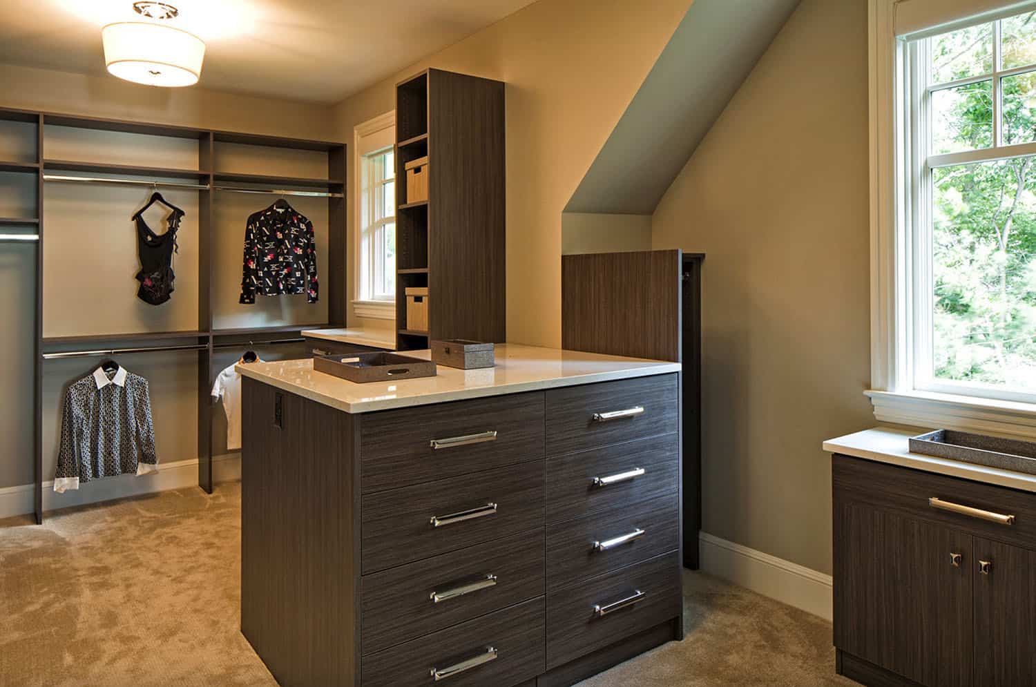 transitional-closet