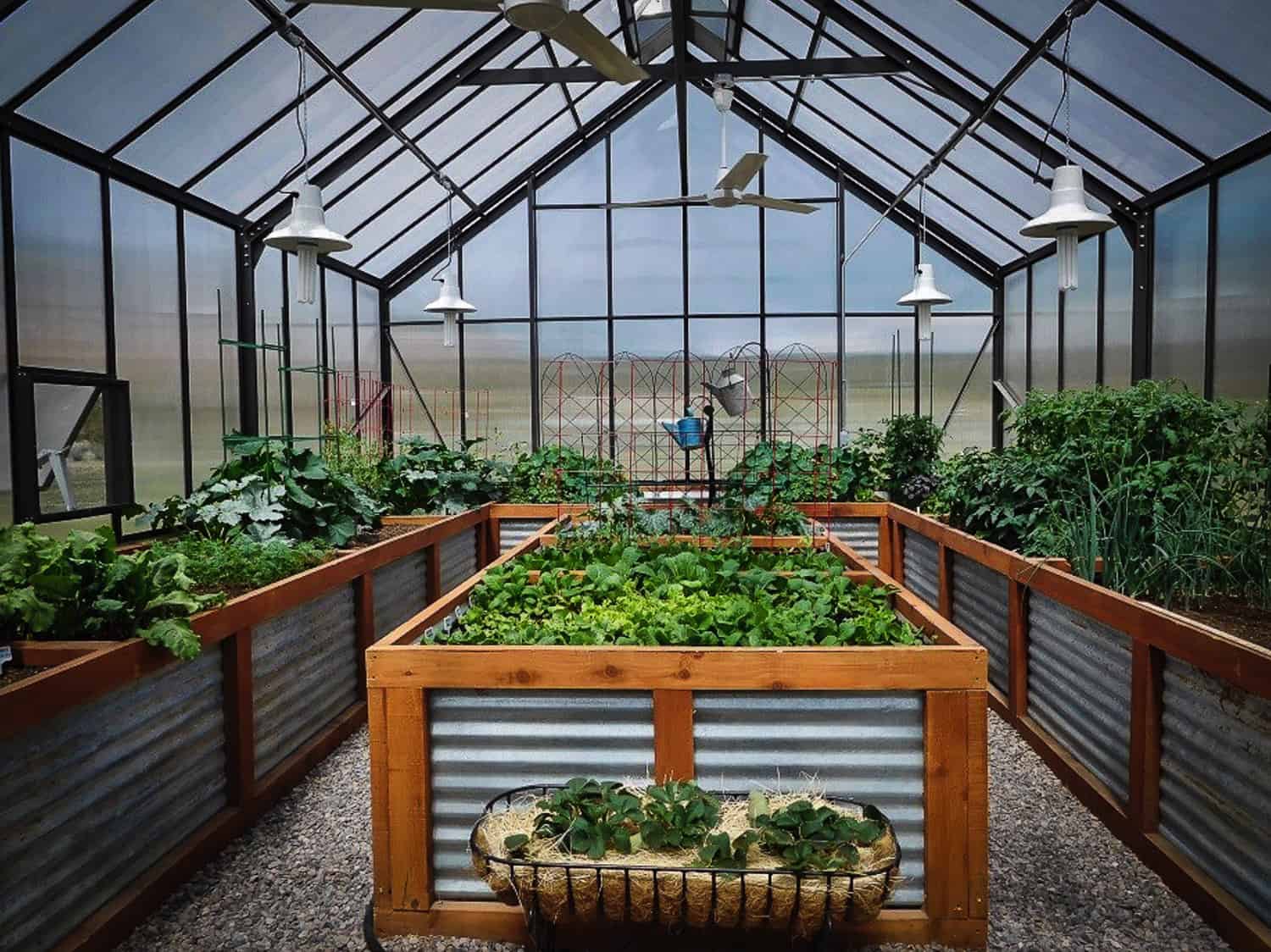 Best backyard greenhouse