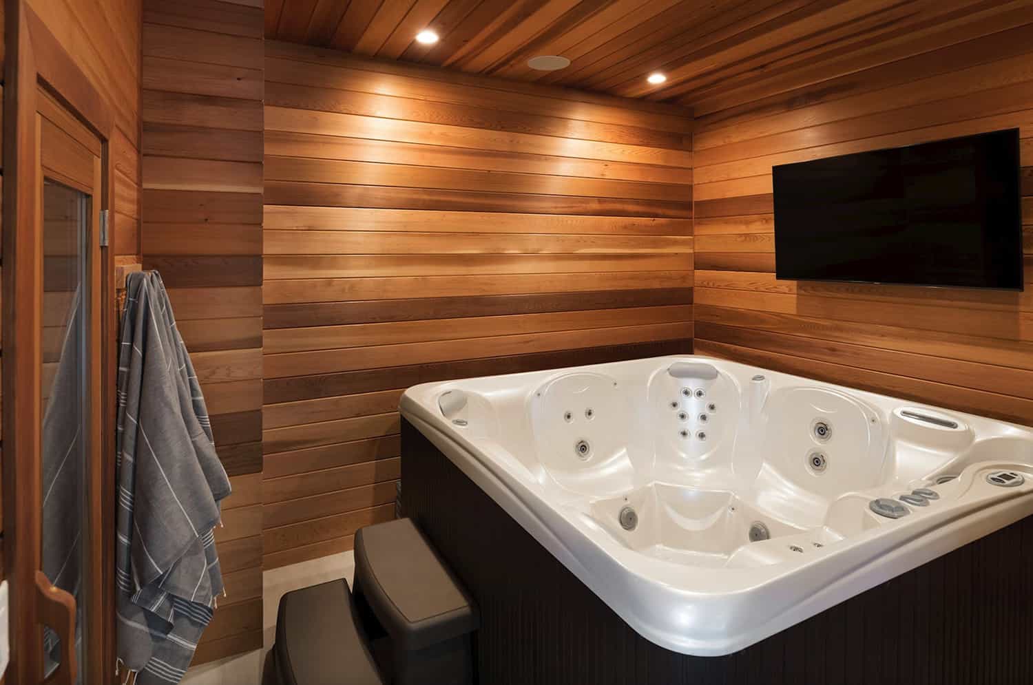 contemporary-hot-tub