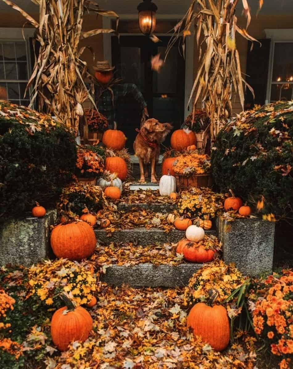 fall-porch-decorating-ideas-with-pumpkins-mums
