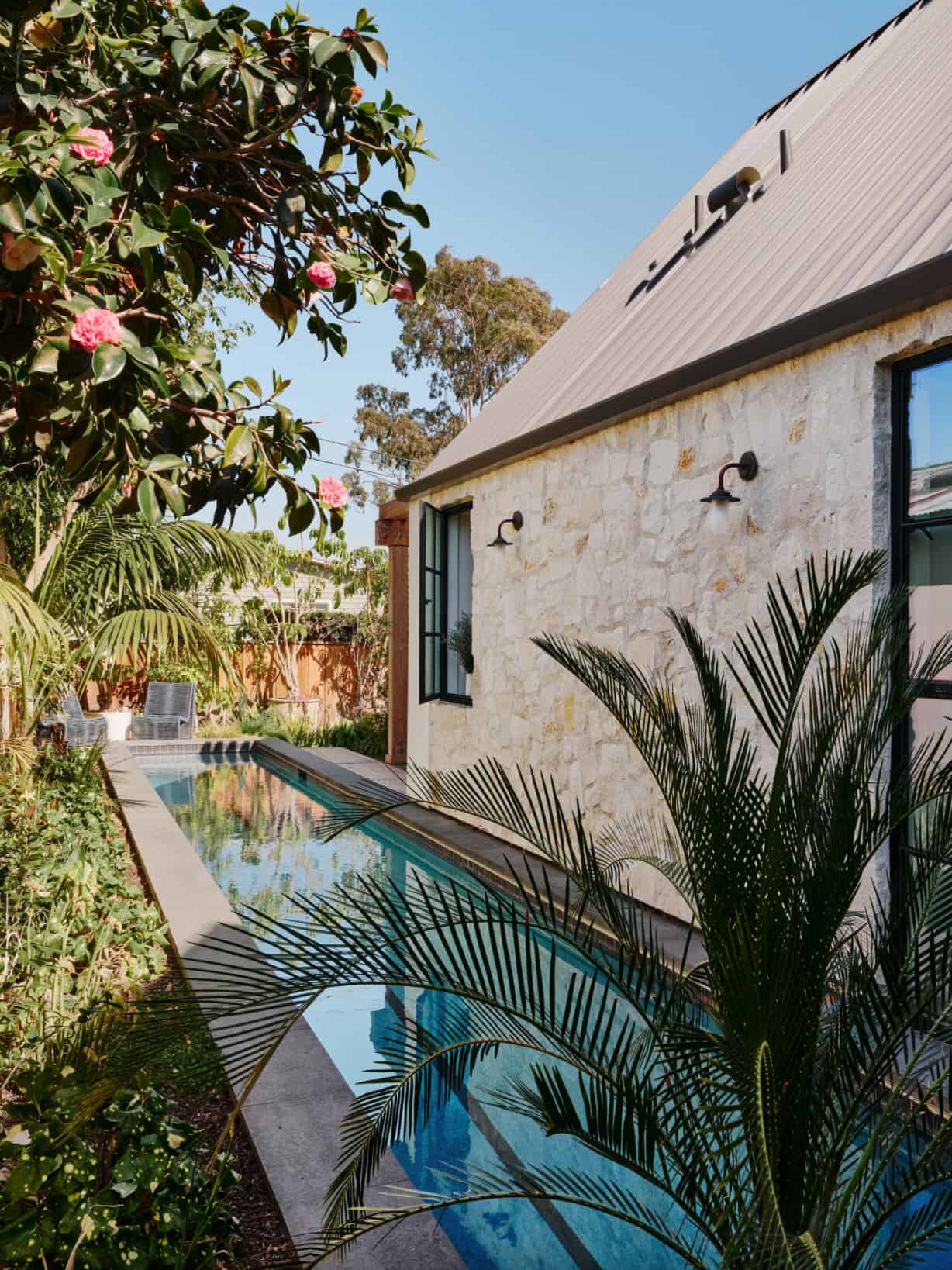 contemporary-swimming-pool