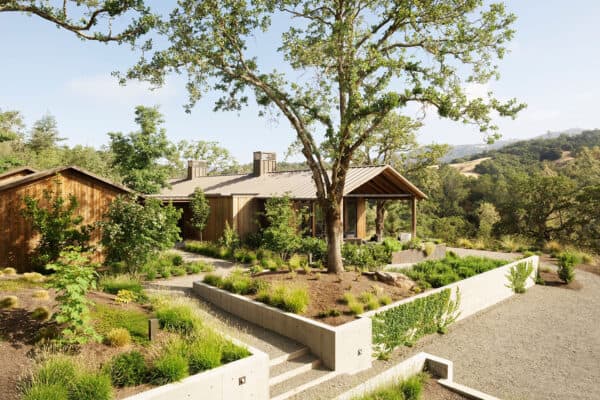 featured posts image for Warm and contemporary Sonoma home set amongst a grove of oak trees