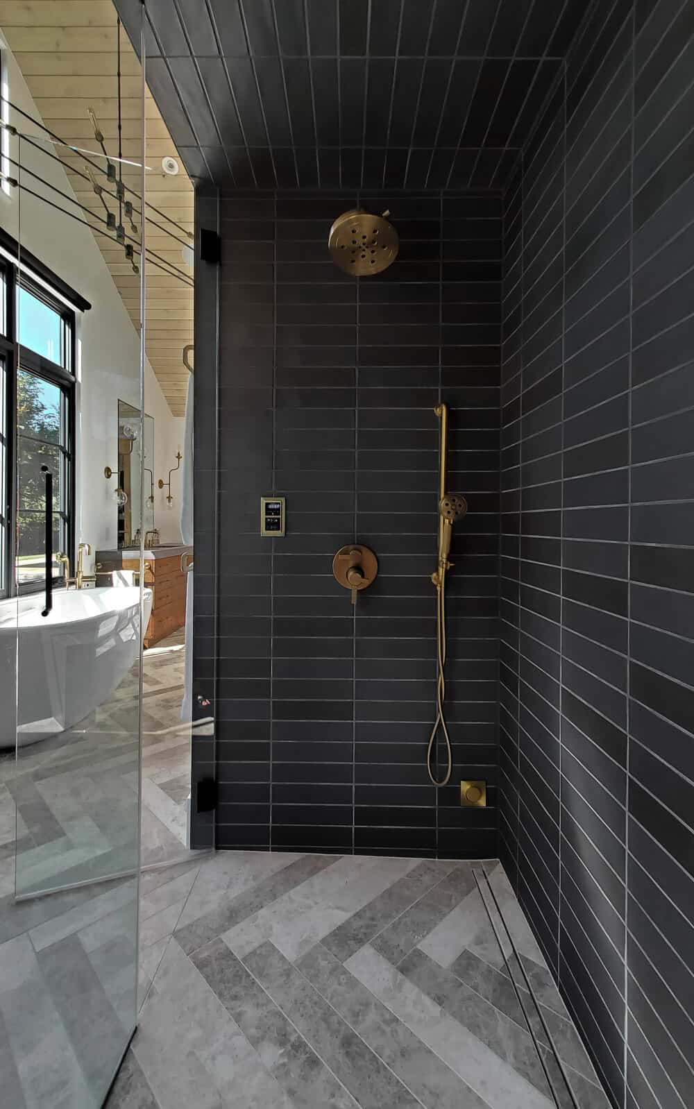 contemporary-bathroom-shower