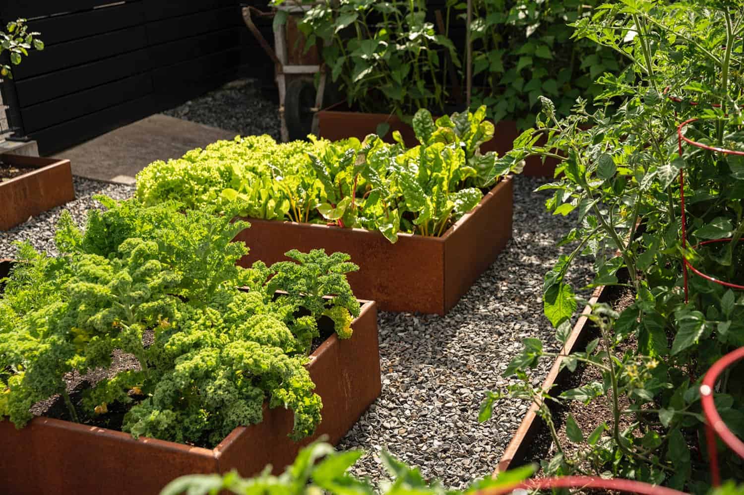 contemporary-home-container-garden