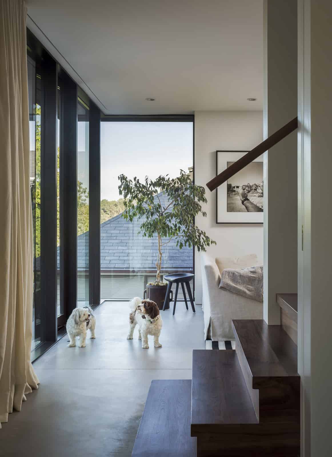 contemporary-hallway